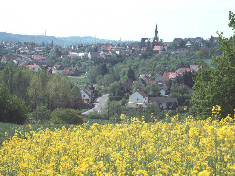 Blick auf Schiffweiler